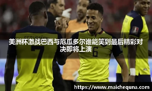 美洲杯激战巴西与厄瓜多尔谁能笑到最后精彩对决即将上演